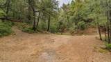 12511 Tabeaud Road - Photo 77