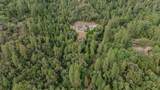 12511 Tabeaud Road - Photo 85