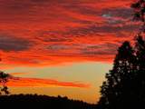 14731 Via De Maia - Photo 66