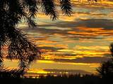 14731 Via De Maia - Photo 69