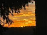 14731 Via De Maia - Photo 70