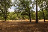 17403 Alexandra Way - Photo 42
