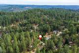 17403 Alexandra Way - Photo 47
