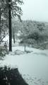 2360 Secret Ravine Trail - Photo 59