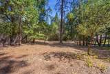 830 Sheep Ranch Road - Photo 30