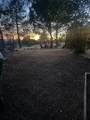 3900 Loma Drive - Photo 52