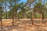 10334 Hidden Hill Road - Photo 45