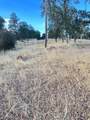 46 Willow Creek Drive - Photo 4