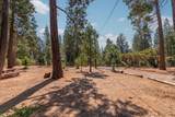 19155 Pine Drive - Photo 49