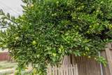 518 I Street - Photo 29