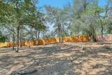 13641 Brass Circle - Photo 39