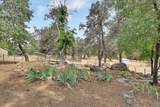 13633 Brass Circle - Photo 31
