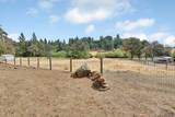 13633 Brass Circle - Photo 32