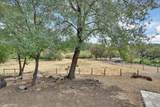 13633 Brass Circle - Photo 37