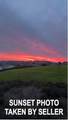 3650 Delin Way - Photo 10