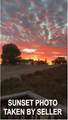 3650 Delin Way - Photo 9