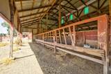 5065 Messing Road - Photo 82