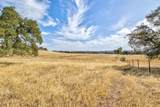 5065 Messing Road - Photo 88