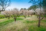 8065 Rock Springs Road - Photo 88