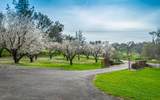 8065 Rock Springs Road - Photo 89