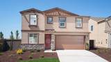 3537 Emery Cove Way - Photo 14