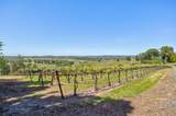 13320 Oakstream Road - Photo 62