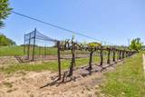 13320 Oakstream Road - Photo 63