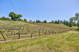 13320 Oakstream Road - Photo 64