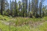 13320 Oakstream Road - Photo 66