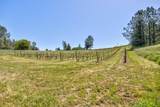 13320 Oakstream Road - Photo 69
