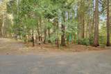 13361 Red Dog Road - Photo 31