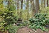 13361 Red Dog Road - Photo 4