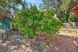 4903 Cypress Avenue - Photo 62