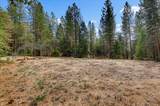 17201 Old Mill Road - Photo 68