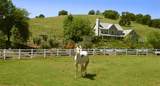 5950 Salmon Falls Road - Photo 2