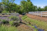 5950 Salmon Falls Road - Photo 69