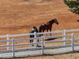 5950 Salmon Falls Road - Photo 9