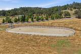 5950 Salmon Falls Road - Photo 94
