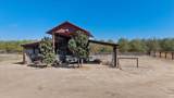 7625 Rodden Road - Photo 56