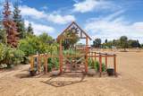 13514 John Rocha Circle - Photo 54