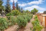 13514 John Rocha Circle - Photo 55