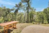 19077 Sanctuary Road - Photo 53