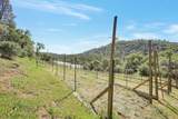 19077 Sanctuary Road - Photo 72