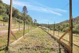 19077 Sanctuary Road - Photo 73