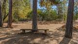 17000 Shake Ridge Road - Photo 47
