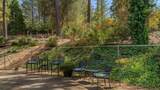 17000 Shake Ridge Road - Photo 53