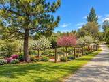 1551 John Dear Road - Photo 61