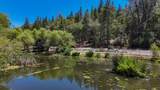 10430 Rubicon Court - Photo 74