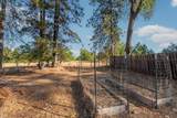 19581 Mella Drive - Photo 33