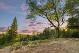 13847 Tyler Foote Road - Photo 28